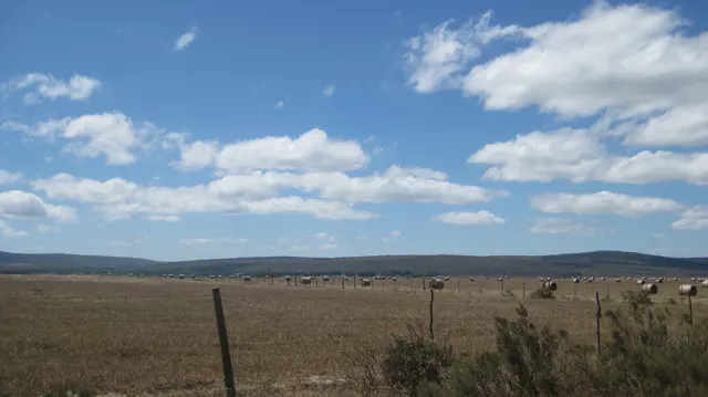 Fence posts cross a dry field beneath small white clouds.