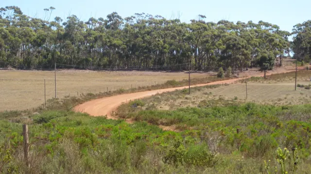 A red track curves across open ground toward a tree line.
