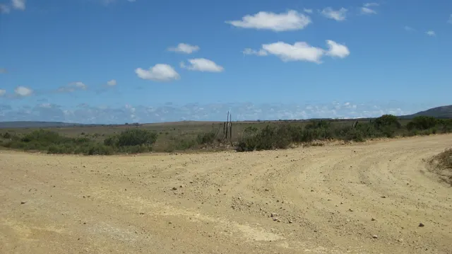 A sandy road forks among low shrubs under scattered clouds.