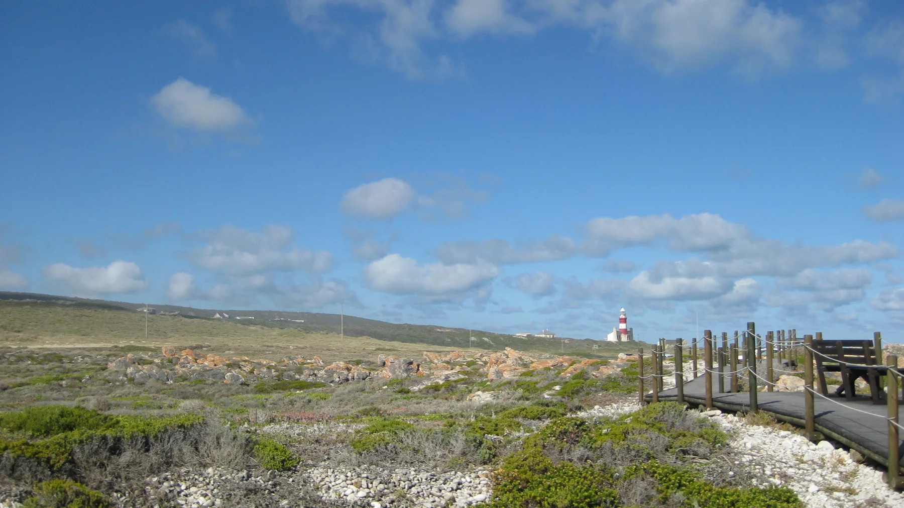 A boardwalk crosses low coastal vegetation toward distant buildings.