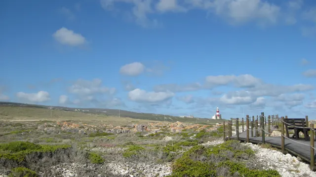 A boardwalk crosses low coastal vegetation toward distant buildings.