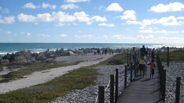 People walk along a raised boardwalk beside a rocky shore.