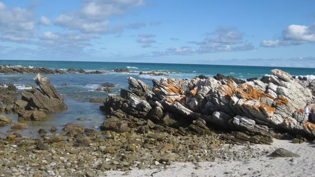 Orange lichen colors jagged rocks beside clear shallow water.