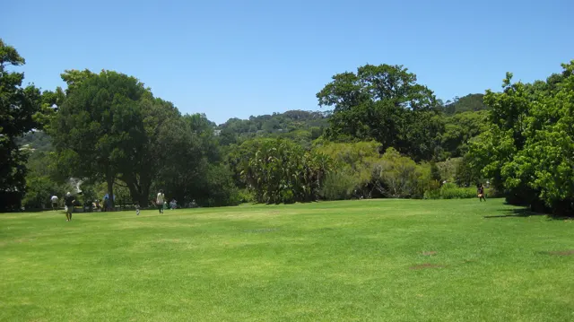 A broad green lawn is enclosed by mature trees.