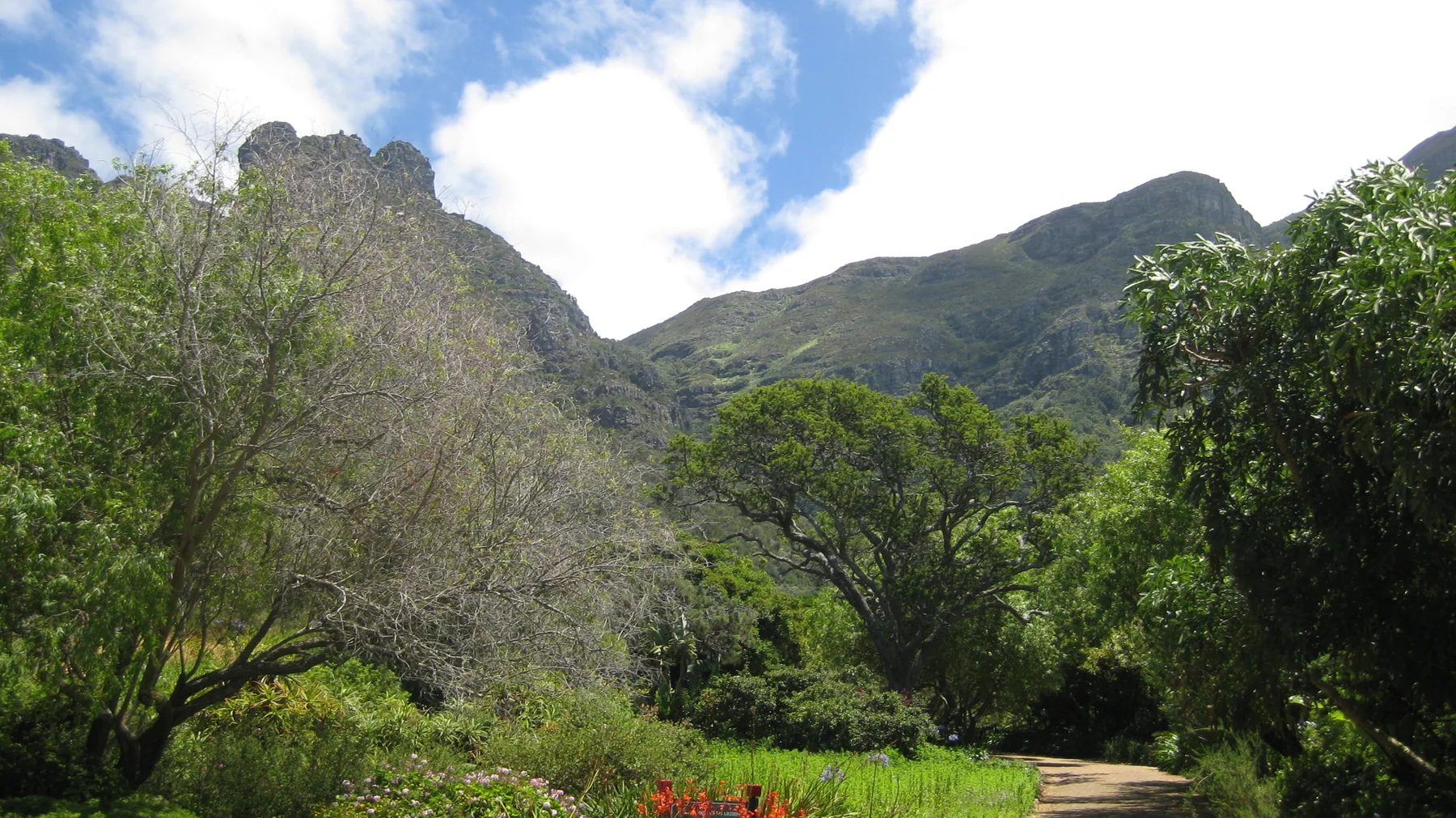 A garden path runs below green mountain slopes and leafy trees.