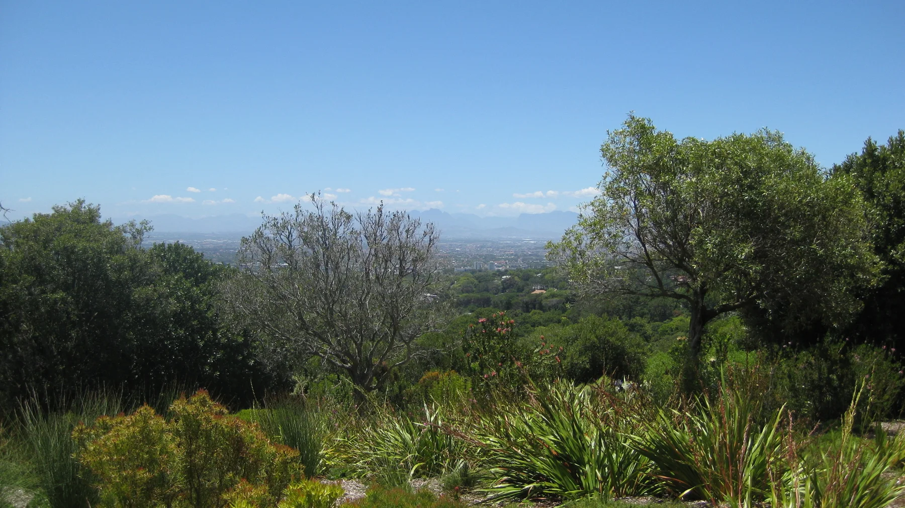 Trees and planted beds frame a distant valley beneath pale clouds.