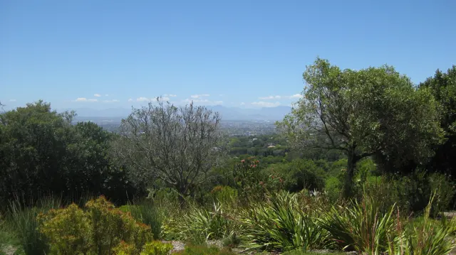 Trees and planted beds frame a distant valley beneath pale clouds.