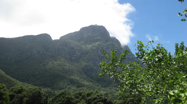 White cloud brushes a dark mountain crest above trees.
