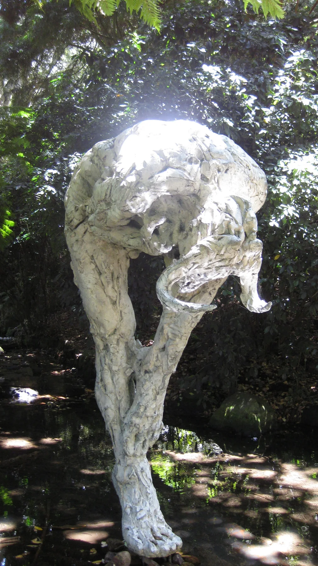 A pale sculptural form curves above a narrow base in garden shade.