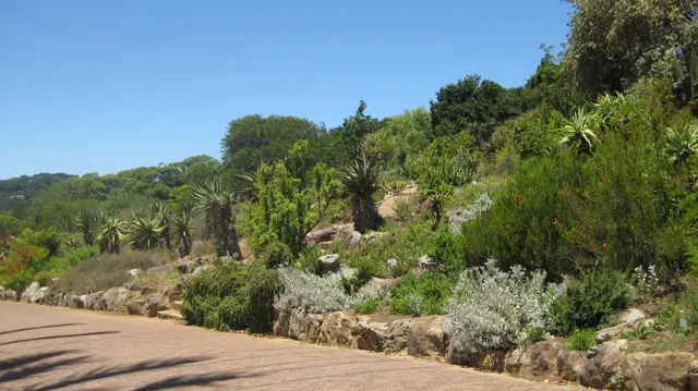 Planted terraces rise beside a broad garden path.