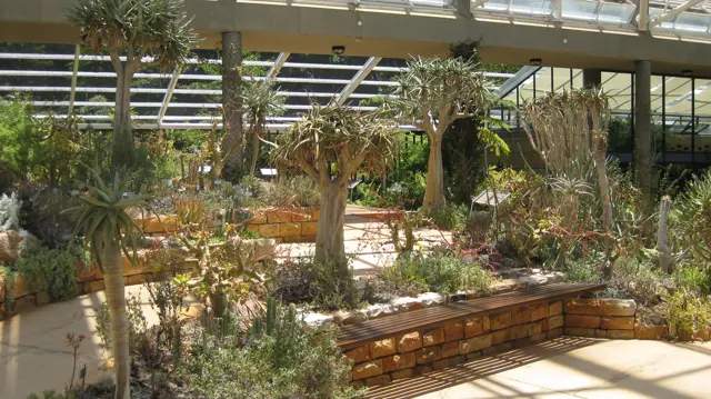 Raised planted beds fill a bright glass-roofed conservatory.