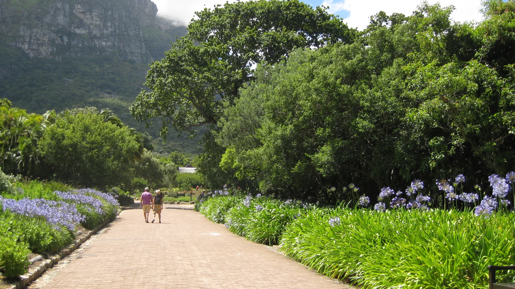 Two people walk along a broad path between purple flower borders.