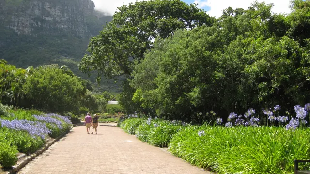 Two people walk along a broad path between purple flower borders.