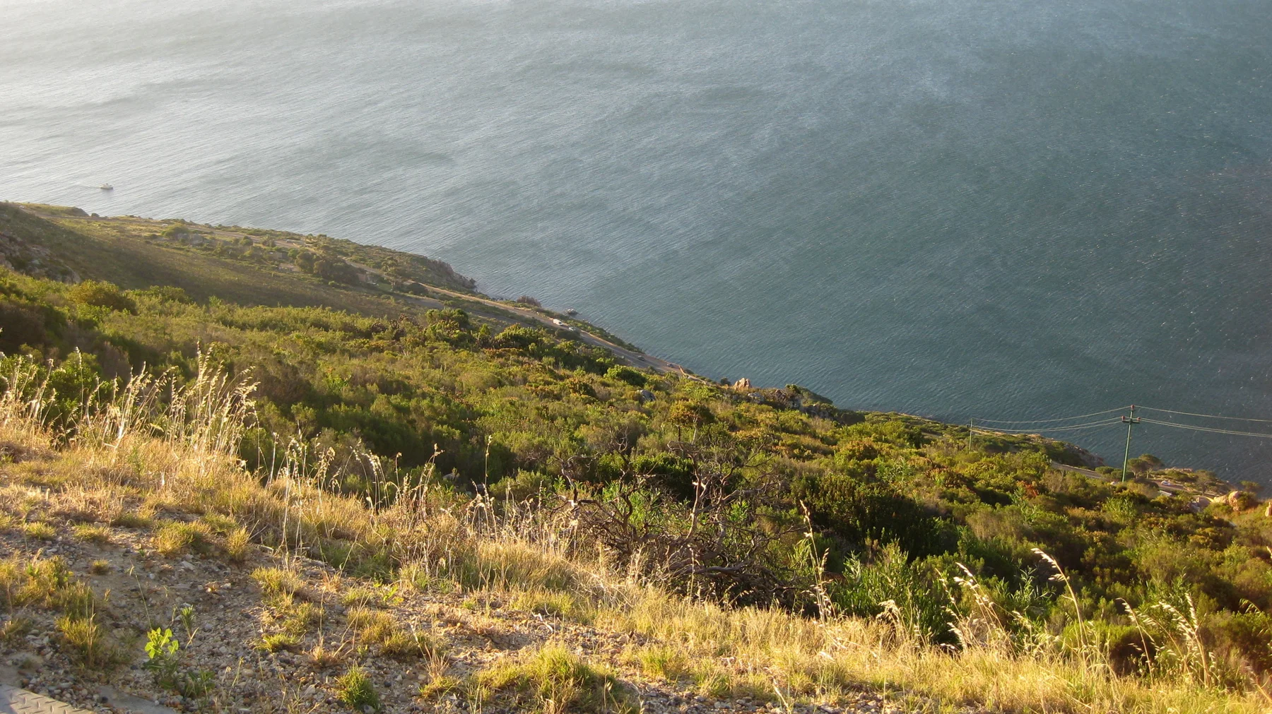 Dry grass and low shrubs overlook sunlit sea water.