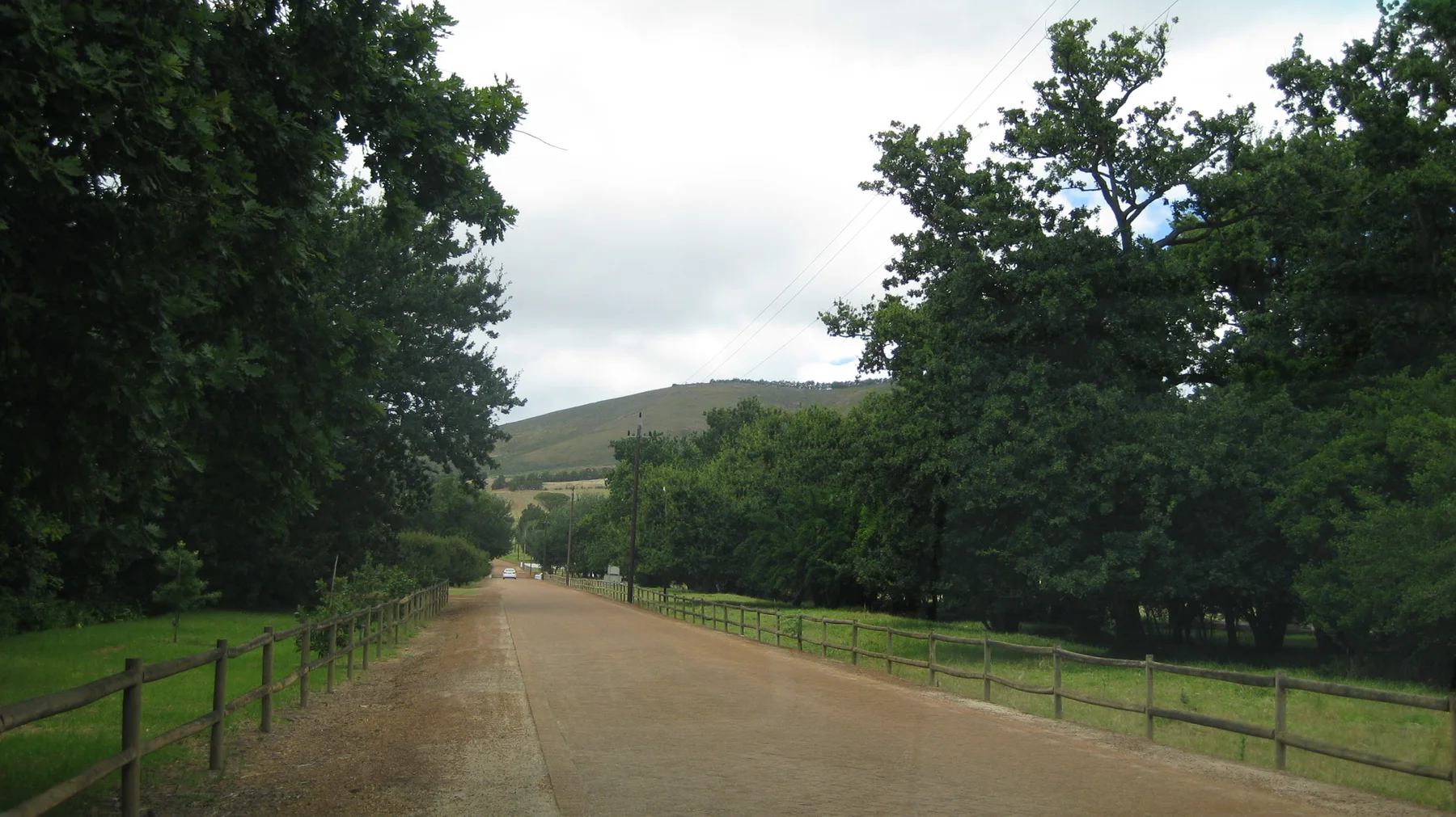 A broad dirt drive passes between mature trees and fences.