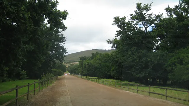 A broad dirt drive passes between mature trees and fences.