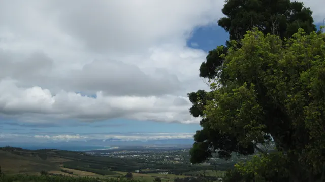 A dark tree frames a distant valley and coastal horizon.
