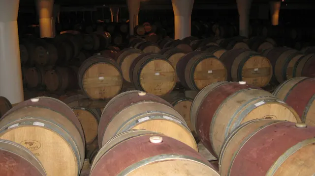 Rows of wooden barrels fill a dimly lit cellar.