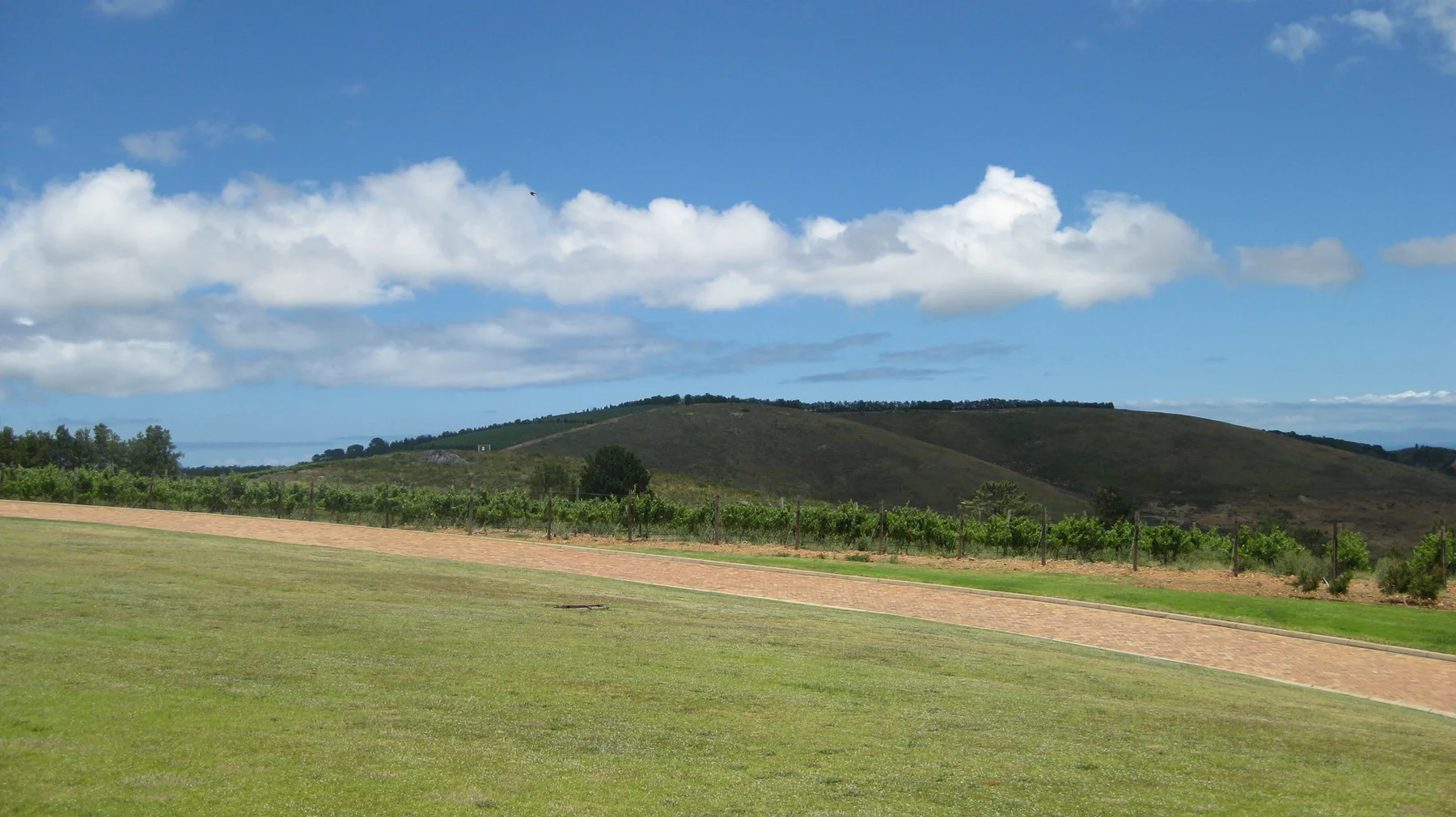 A green vineyard hill rises beyond a broad lawn and path.