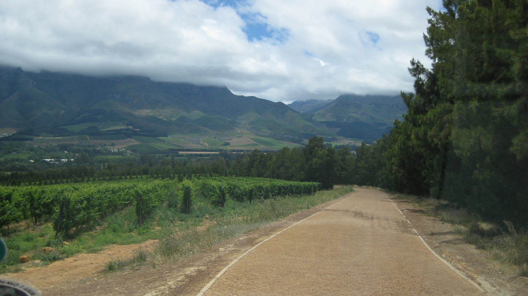 A dirt lane follows green vineyard rows toward clouded mountains.