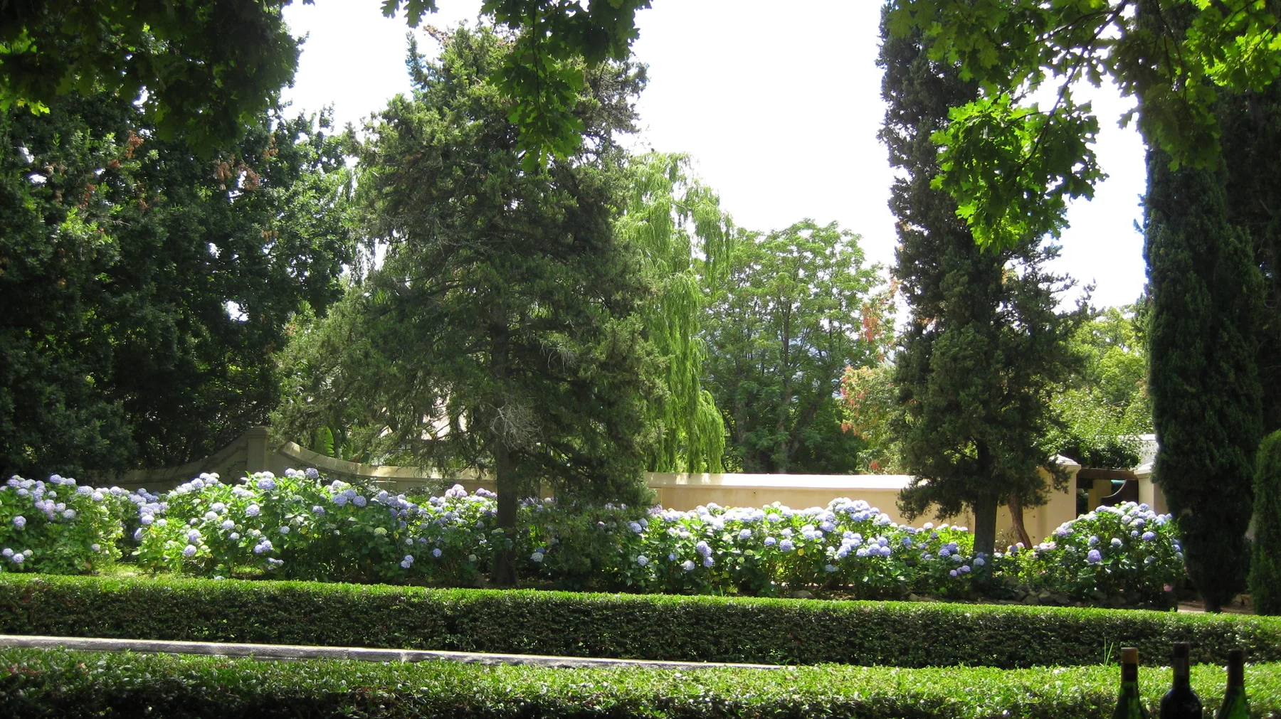 Clipped hedges border flowers beneath tall garden trees.
