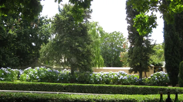 Clipped hedges border flowers beneath tall garden trees.