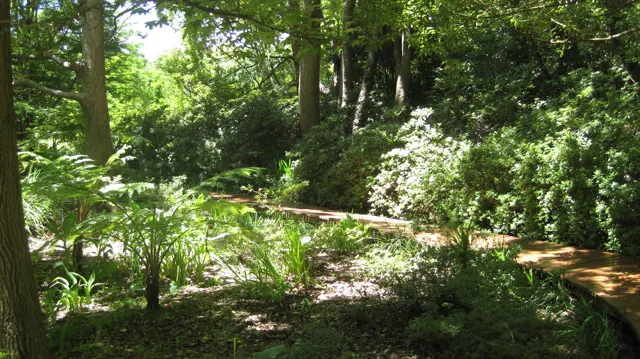 A narrow garden path passes beneath tall trees and dense foliage.