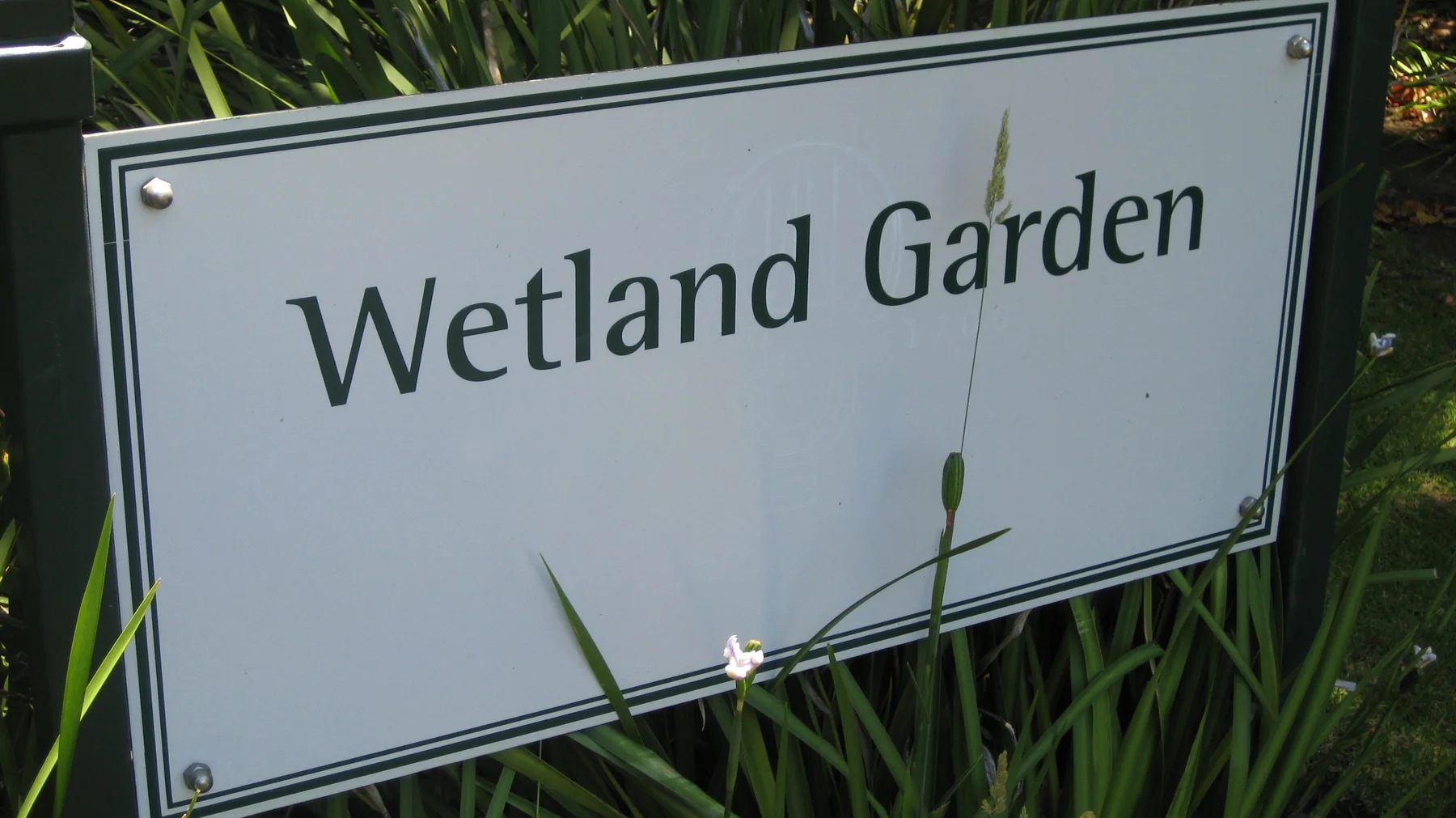 A white sign identifies the Wetland Garden among grasses.