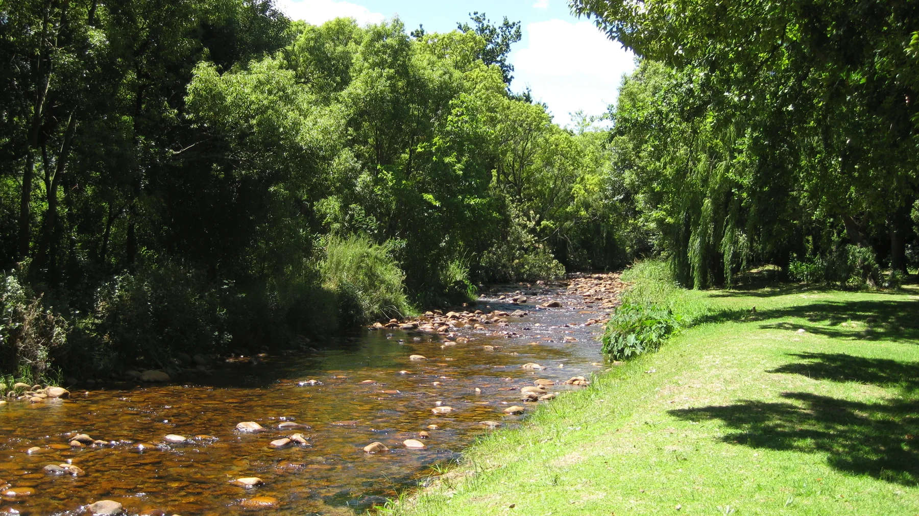 A shallow brown stream flows beside a bright garden lawn.