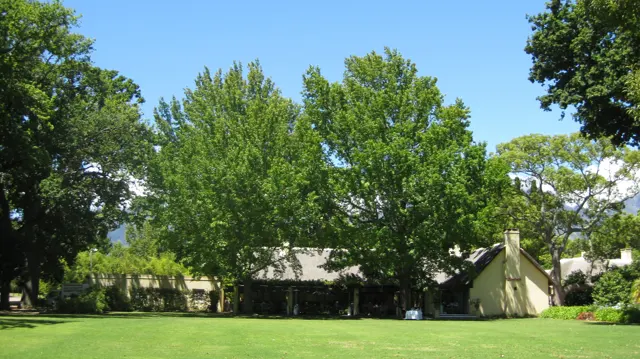 Leafy trees stand before low thatched garden buildings.