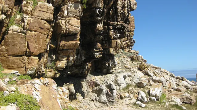 Deep cracks divide a golden-brown rock wall.