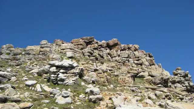 Broken rocks and sparse plants cover a low slope.