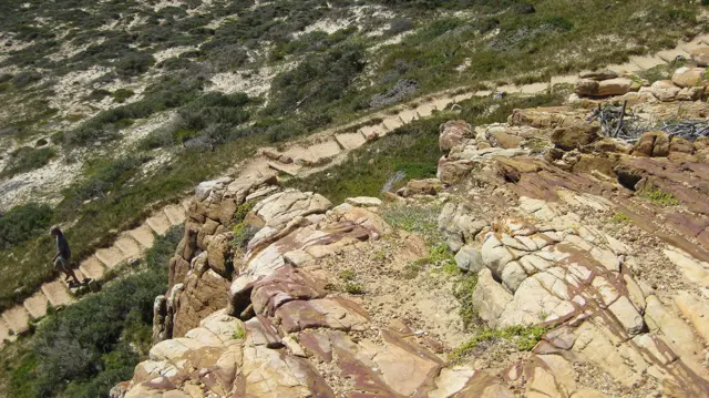 A stepped trail curves below layered coastal rocks.
