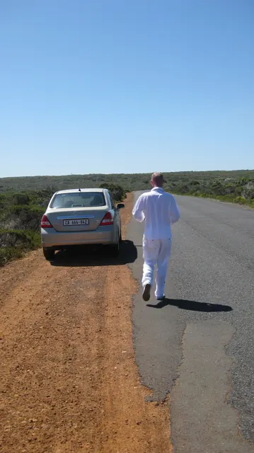 A person stands beside a parked car on a quiet roadside.