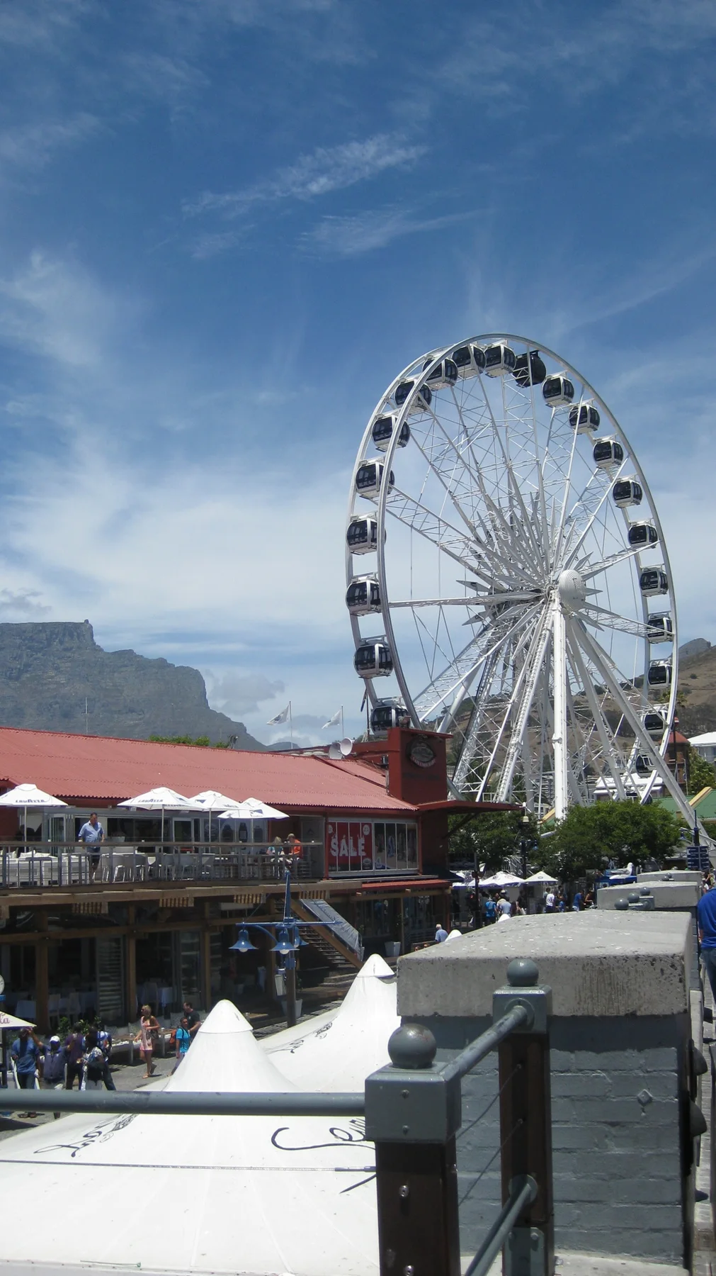 A white observation wheel rises above waterfront roofs.
