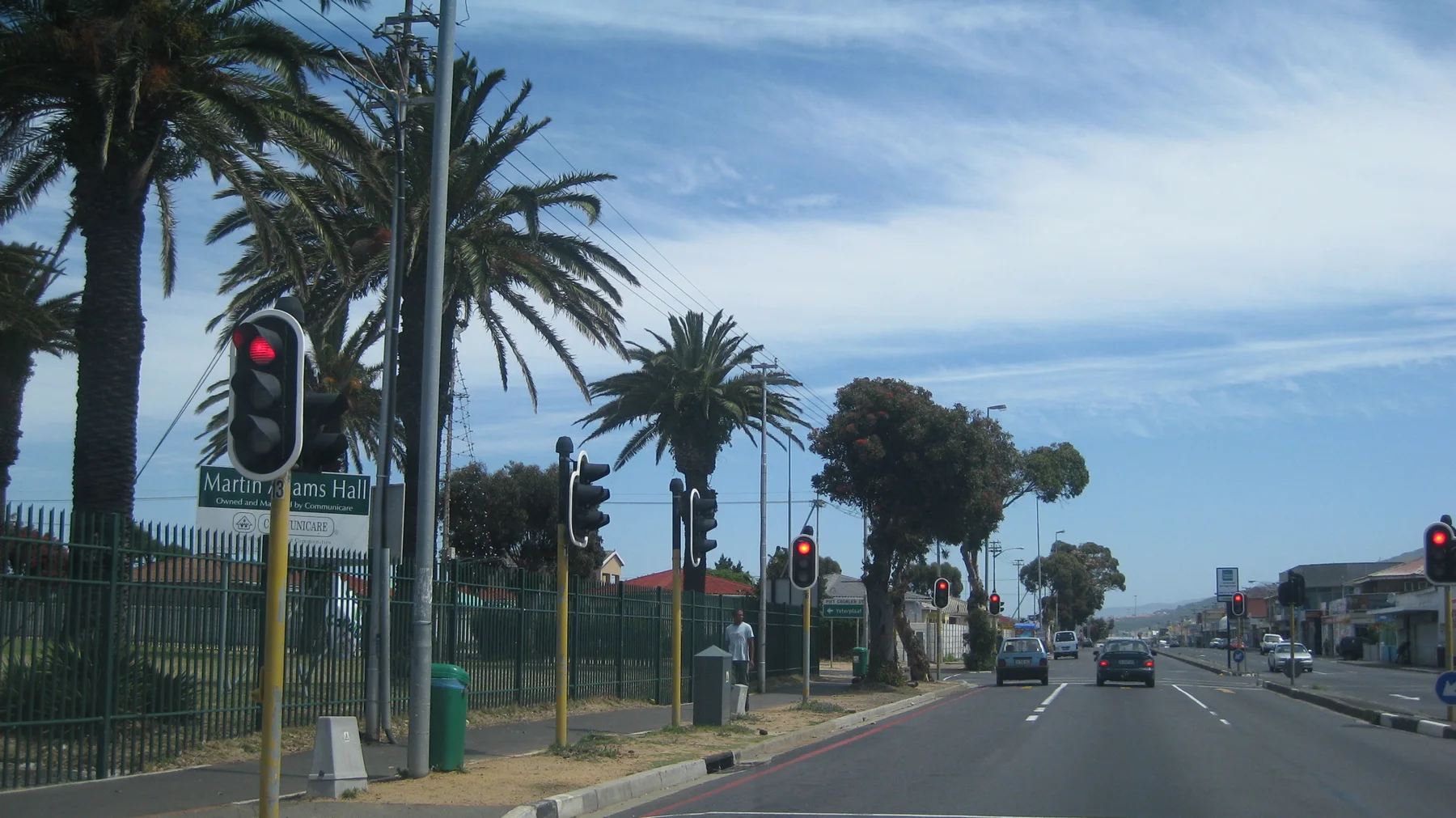 Red traffic lights stand beneath palms along a broad road.