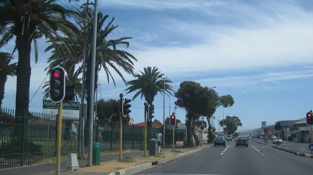 Red traffic lights stand beneath palms along a broad road.