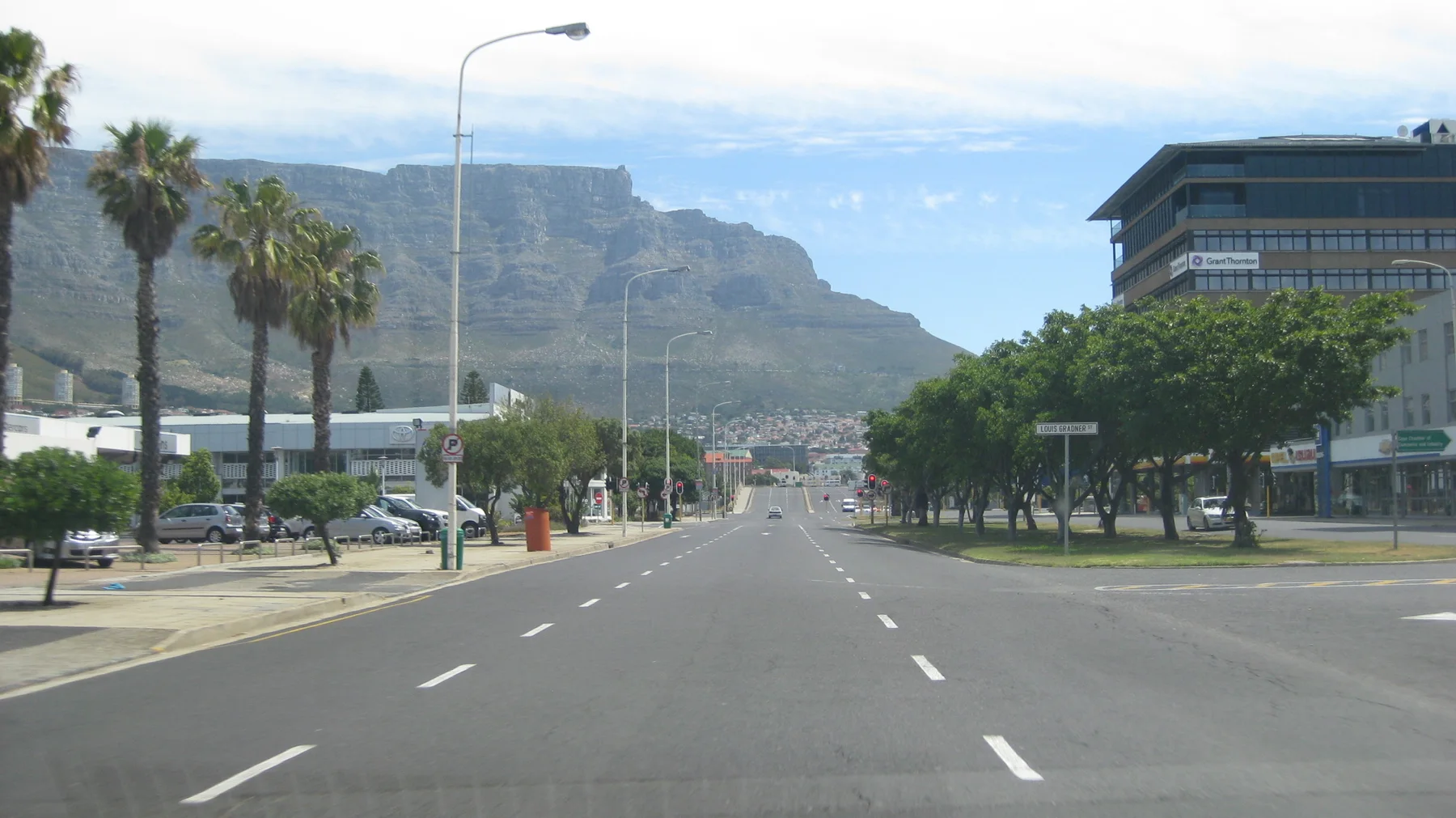 A broad avenue leads past palms toward a mountain ridge.