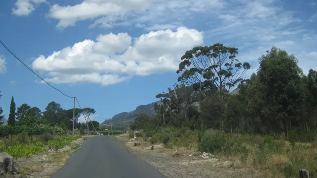 A narrow paved lane passes trees and rough verges.