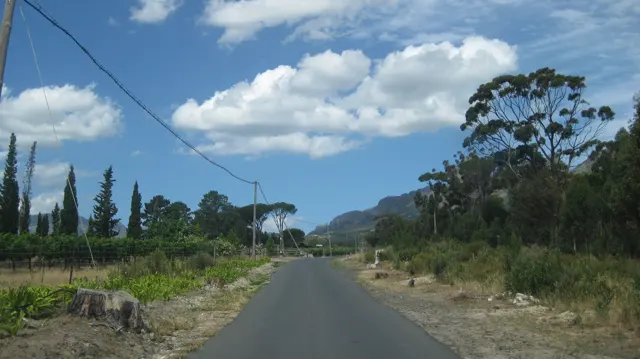 A quiet lane runs between trees beneath large white clouds.