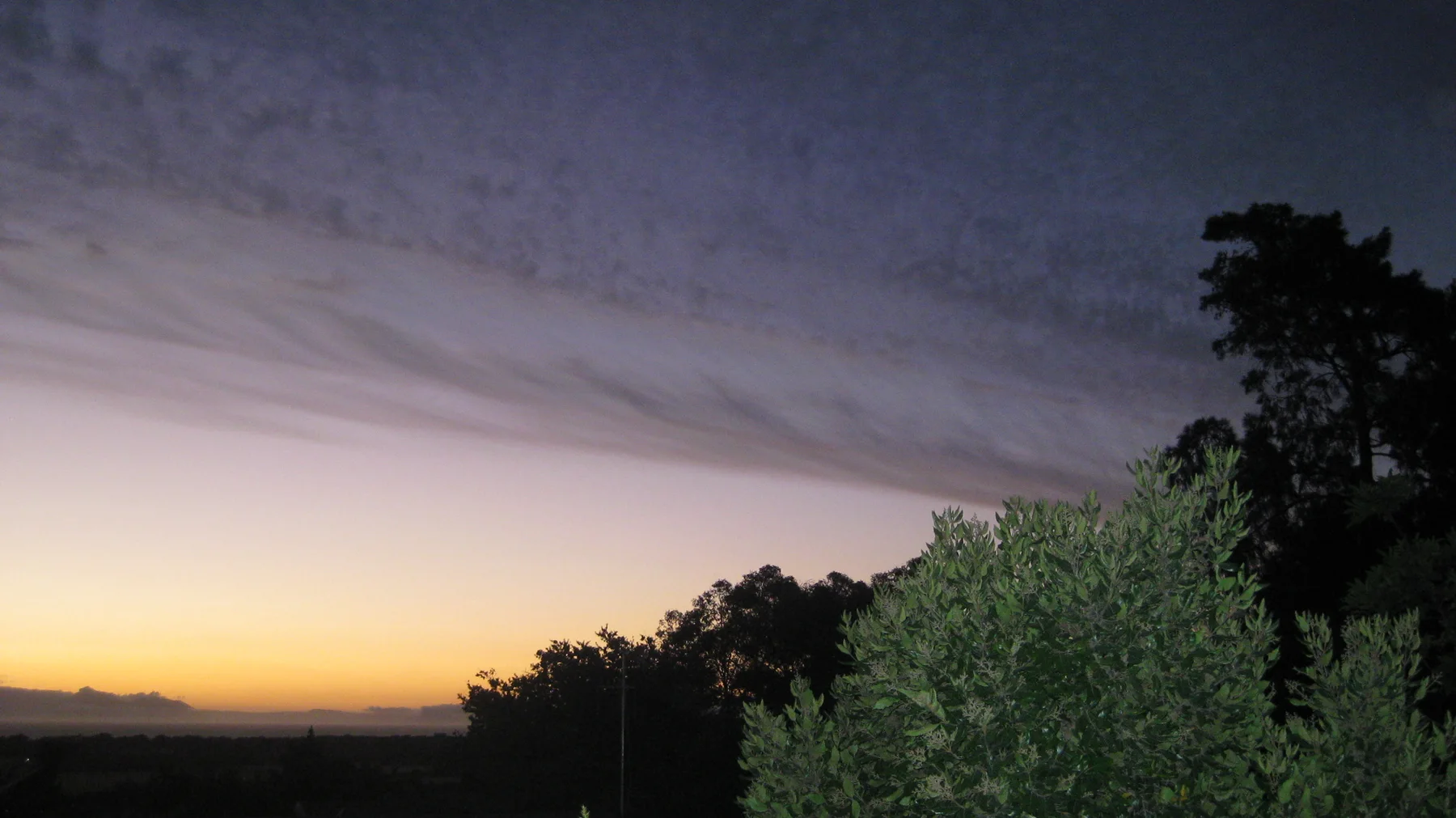 Green foreground shrubs stand beneath a darkening twilight sky.