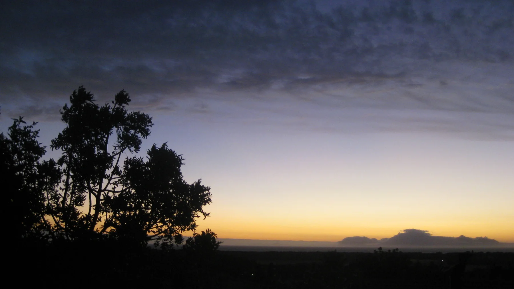 Tree silhouettes rise against a low golden afterglow.