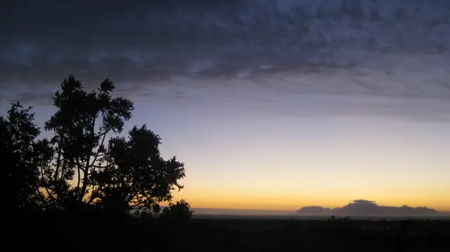 Tree silhouettes rise against a low golden afterglow.