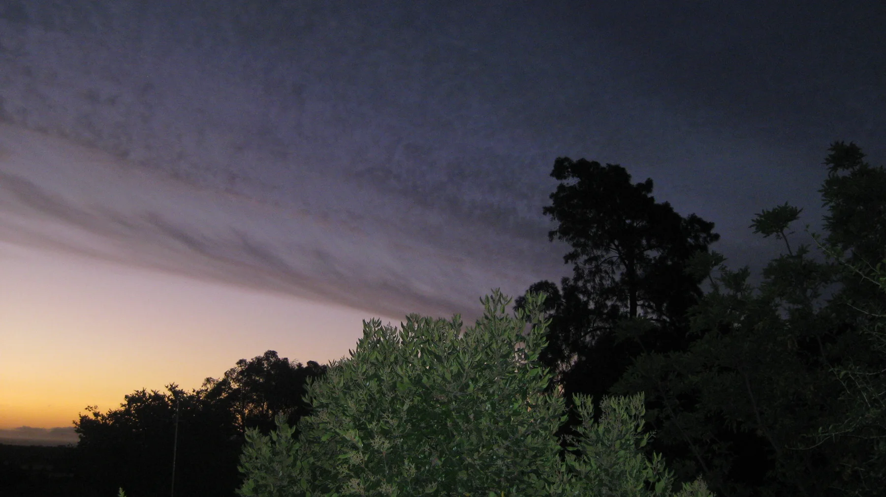 The last warm light appears beyond dark and green shrubs.