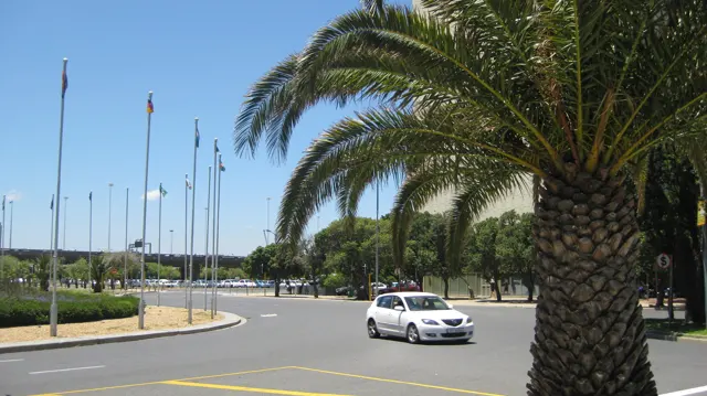 A white car passes a large palm near a broad junction.
