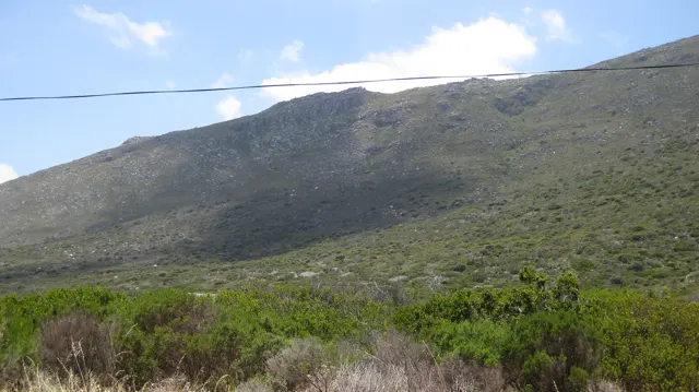 A broad green slope rises beyond scrub and an overhead wire.