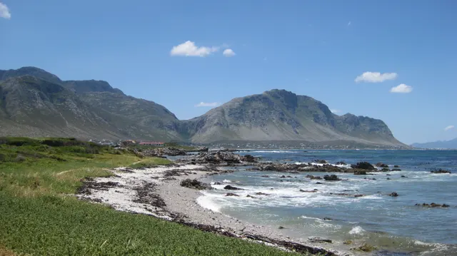 Green coastal plants border white waves below steep mountains.