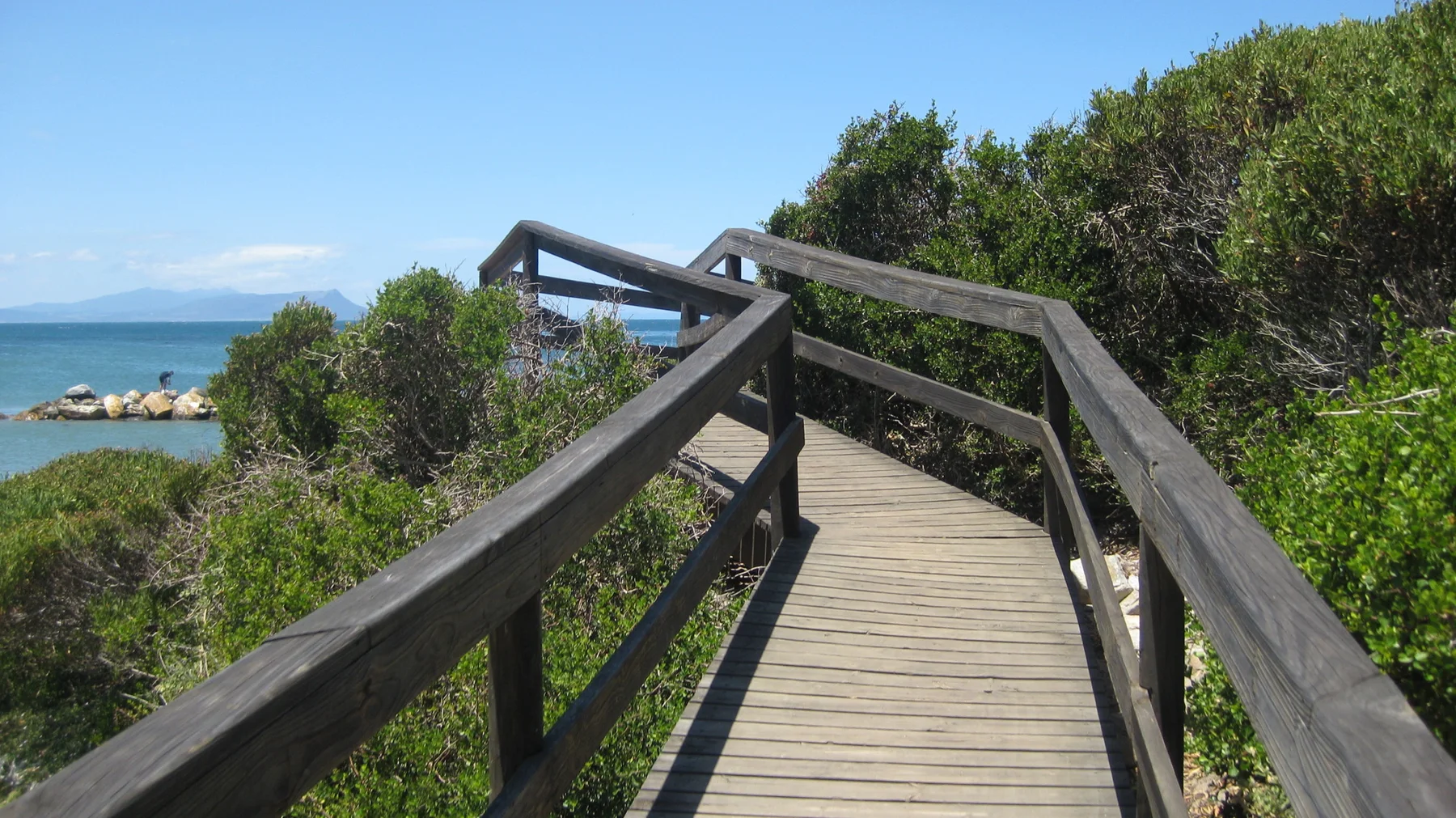 A wooden boardwalk rises through shrubs toward blue water.