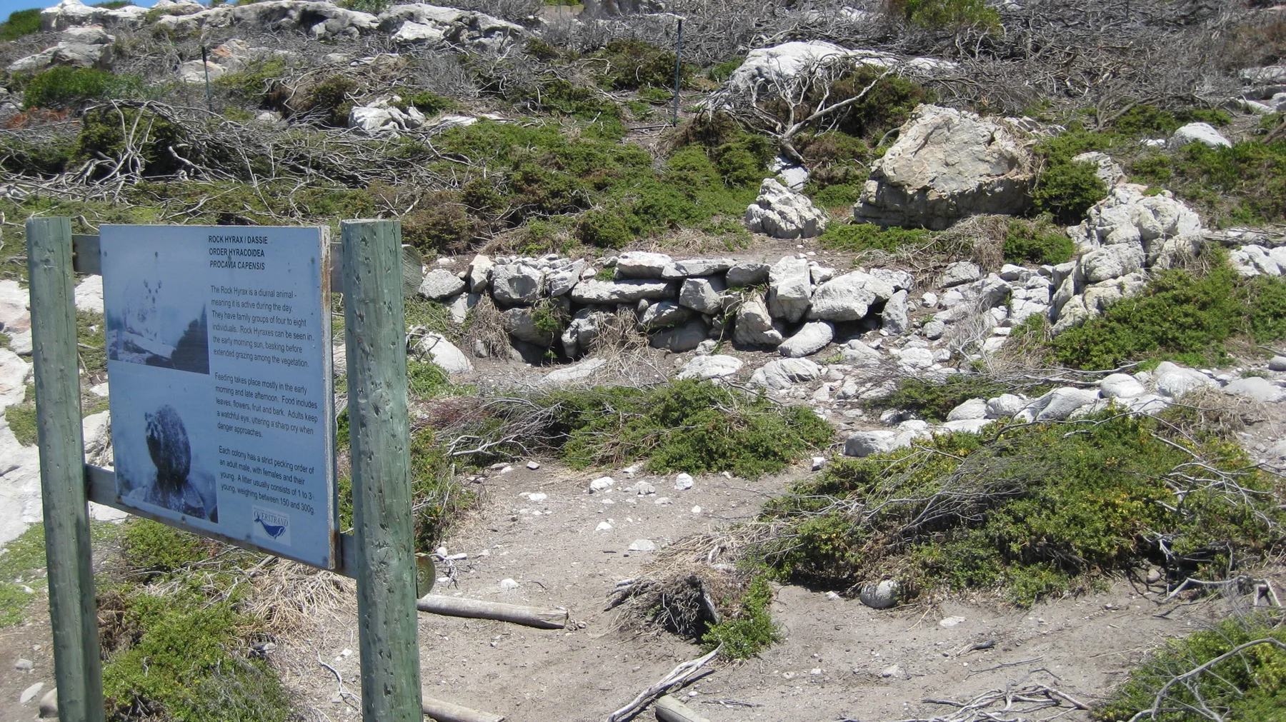An information panel stands beside a rocky path and low plants.