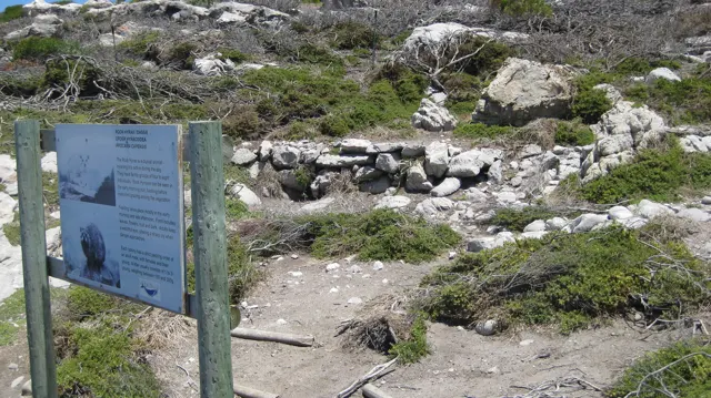 An information panel stands beside a rocky path and low plants.